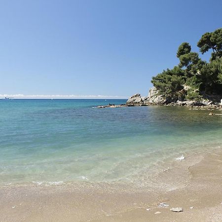 Maison De Charme A 200 Bord De Mer, Terrasse, Jardin- Lesclesdenicole Le Pradet Dış mekan fotoğraf
